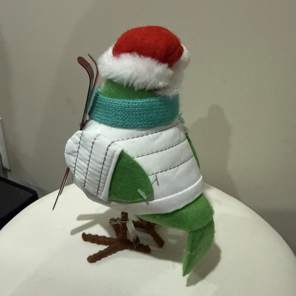 Target Wondershop 2020 Bird Featherly Friends Powell Christmas Holiday Ski Ret